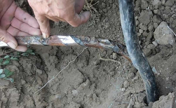 ���Ӳ�����|�����c